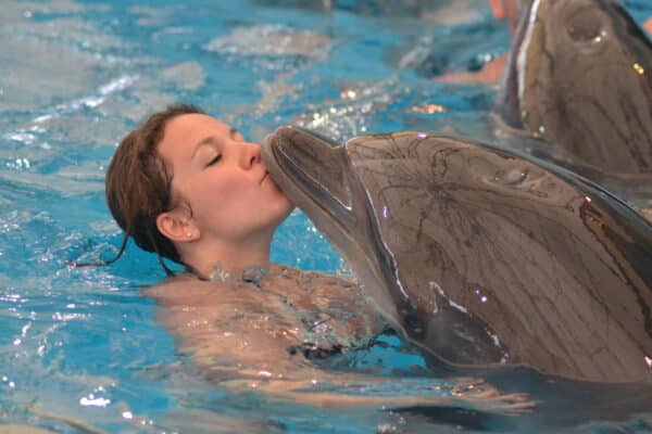 Vé xem Dolphin Show Phuket