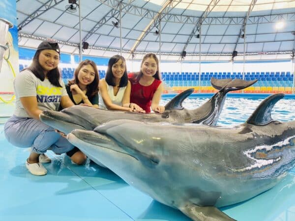 Billets pour le spectacle des dauphins à Phuket