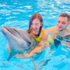 Entradas para el espectáculo de delfines en Phuket