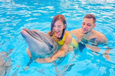 Dolphins Bay Phuket – Tiket Berenang Bersama Lumba-lumba (Warga Negara Asing)