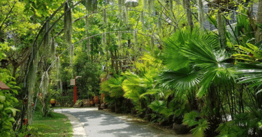 Phuket Botanic Garden