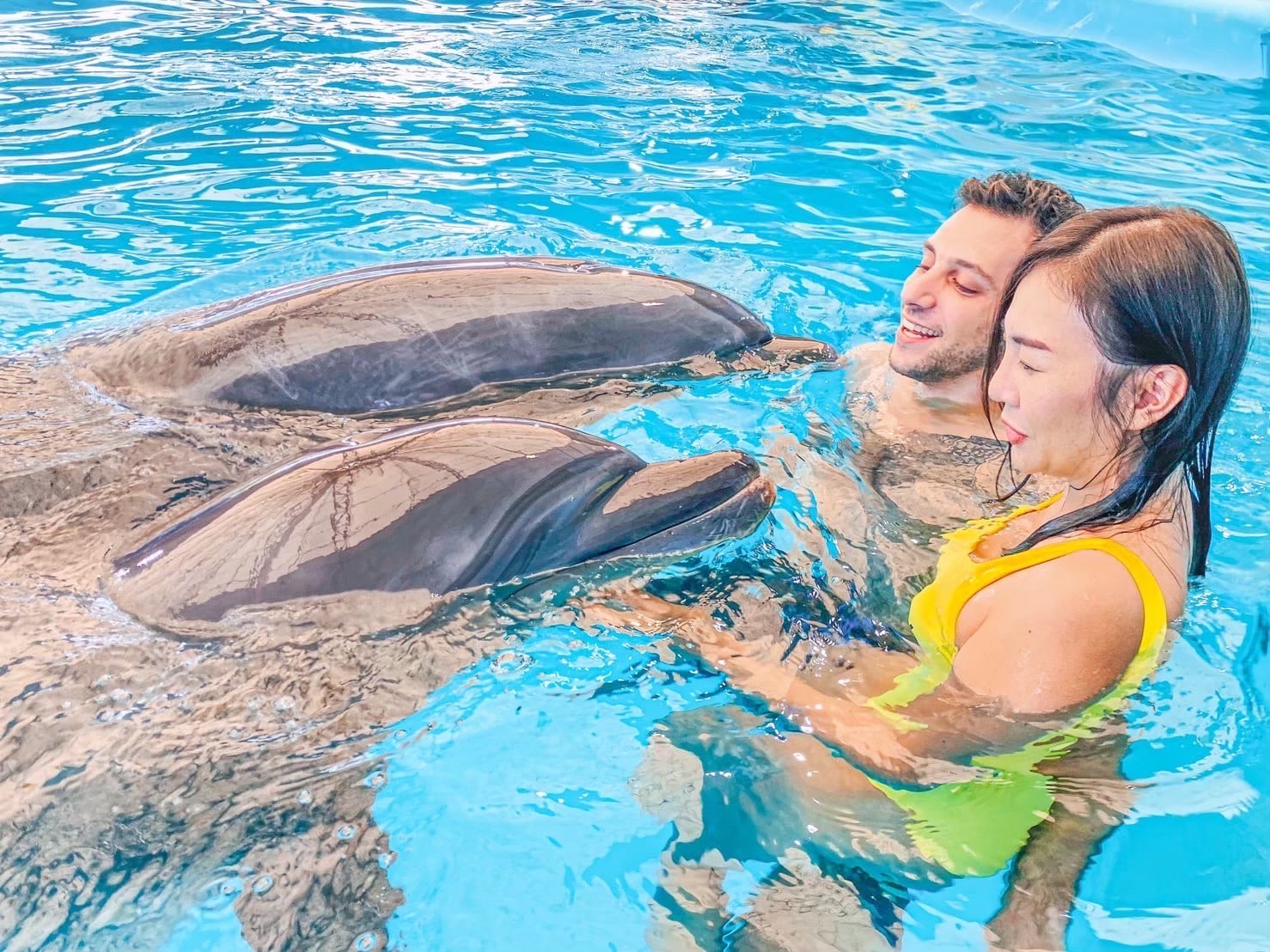 Swimming With Dolphin Phuket