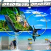 dolphinshowphuket