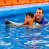 dolphinshowphuket