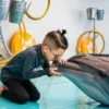 dolphinshowphuket