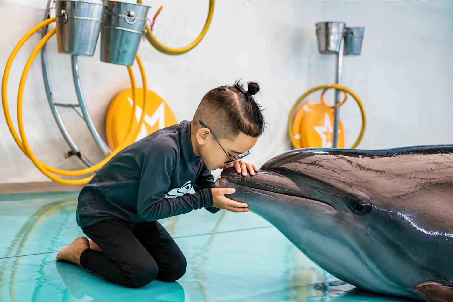 dolphinshowphuket