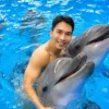 dolphinshowphuket