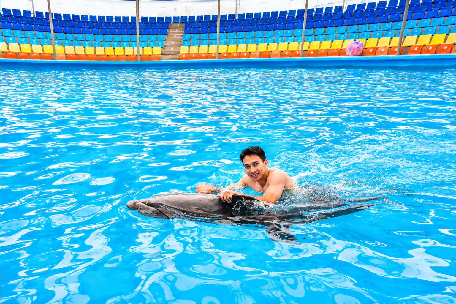 dolphinshowphuket