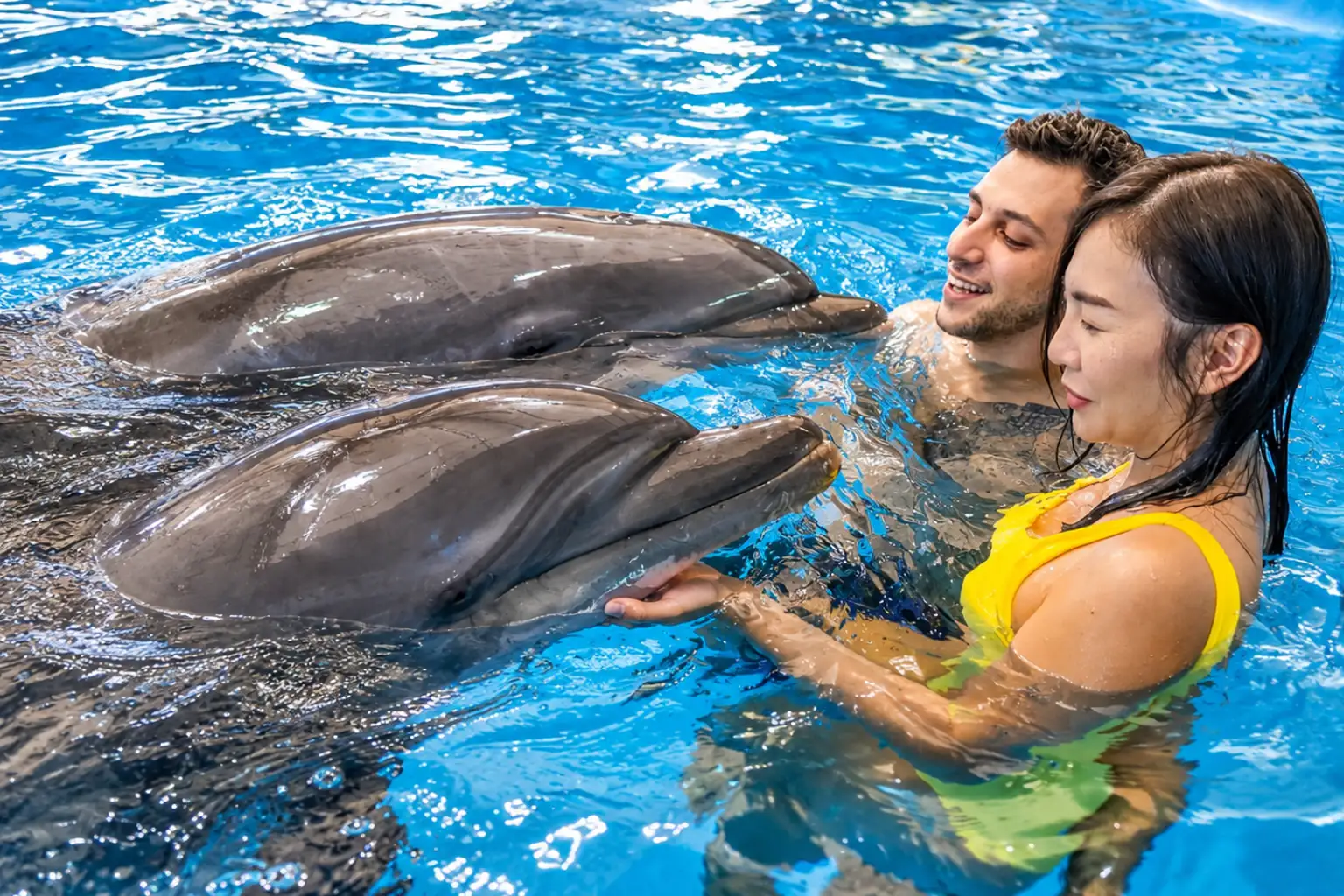 dolphinshowphuket
