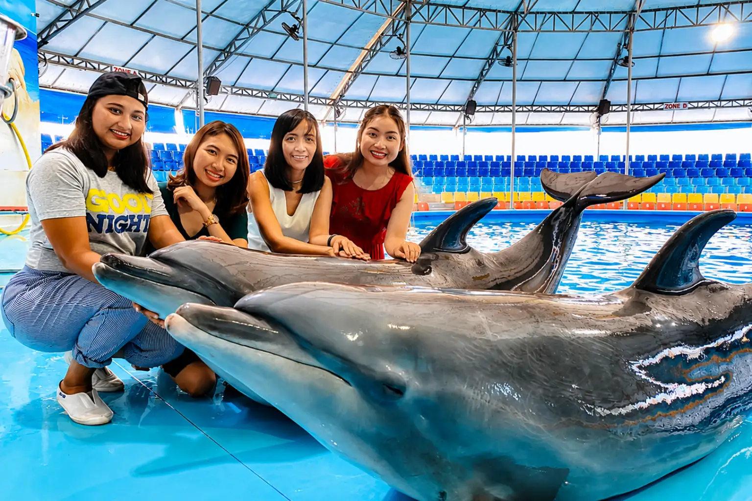 dolphinshowphuket
