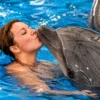 dolphinshowphuket