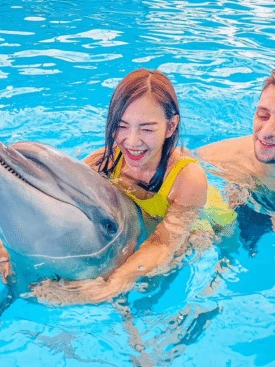 Dolphins-Bay-Phuket-Tickets