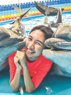 Dolphins-Bay