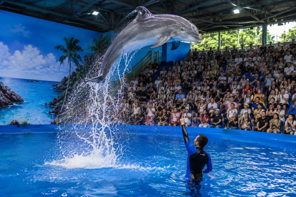 Main Entertainment Highlights